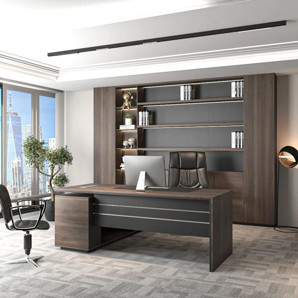Modern Urban Executive Office